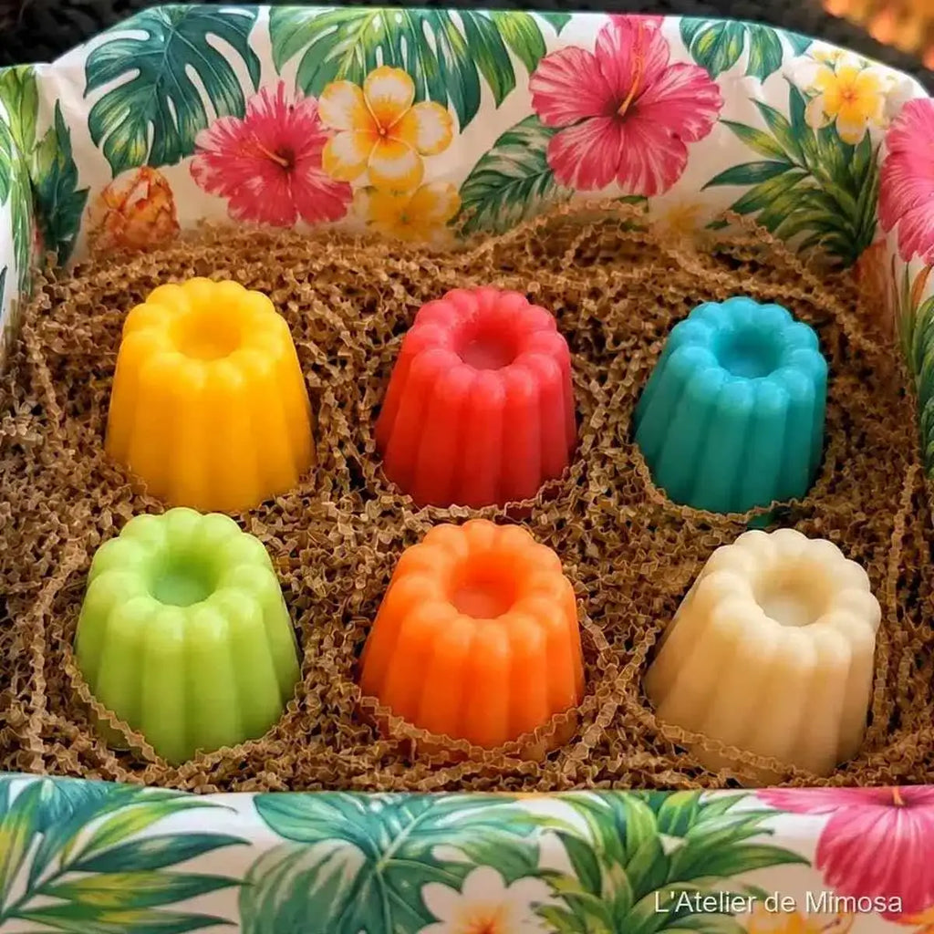 Coffret découverte fondants parfumés tropical, senteurs exotiques