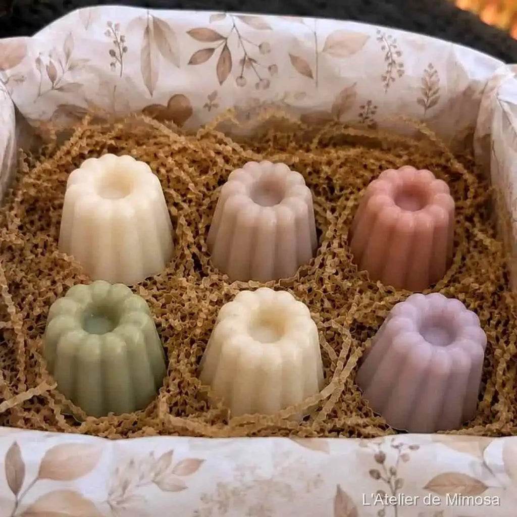 Coffret découverte fondants parfumés cocooning, senteurs douces