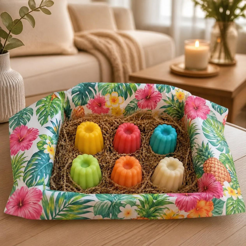 Coffret Découverte Tropical dans un salon